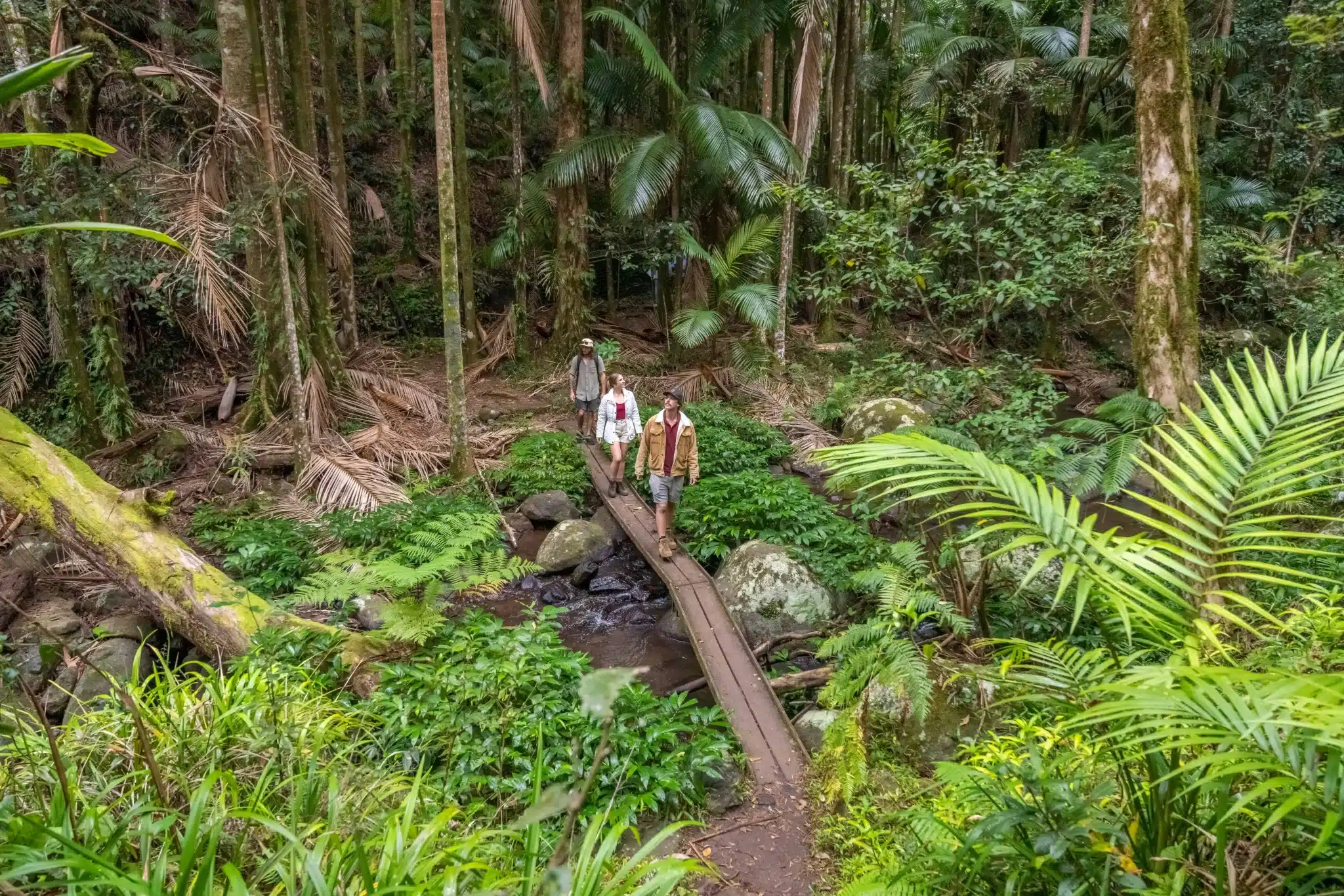 NSW Is Getting A Spectacular New MultiDay Hiking Trail Very Soon