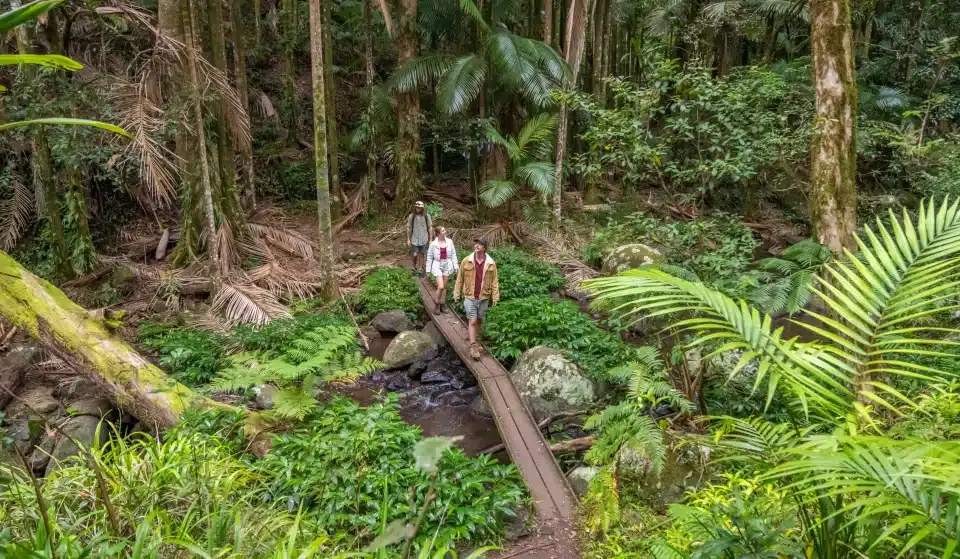 NSW Is Getting A Spectacular New Multi-Day Hiking Trail Very Soon
