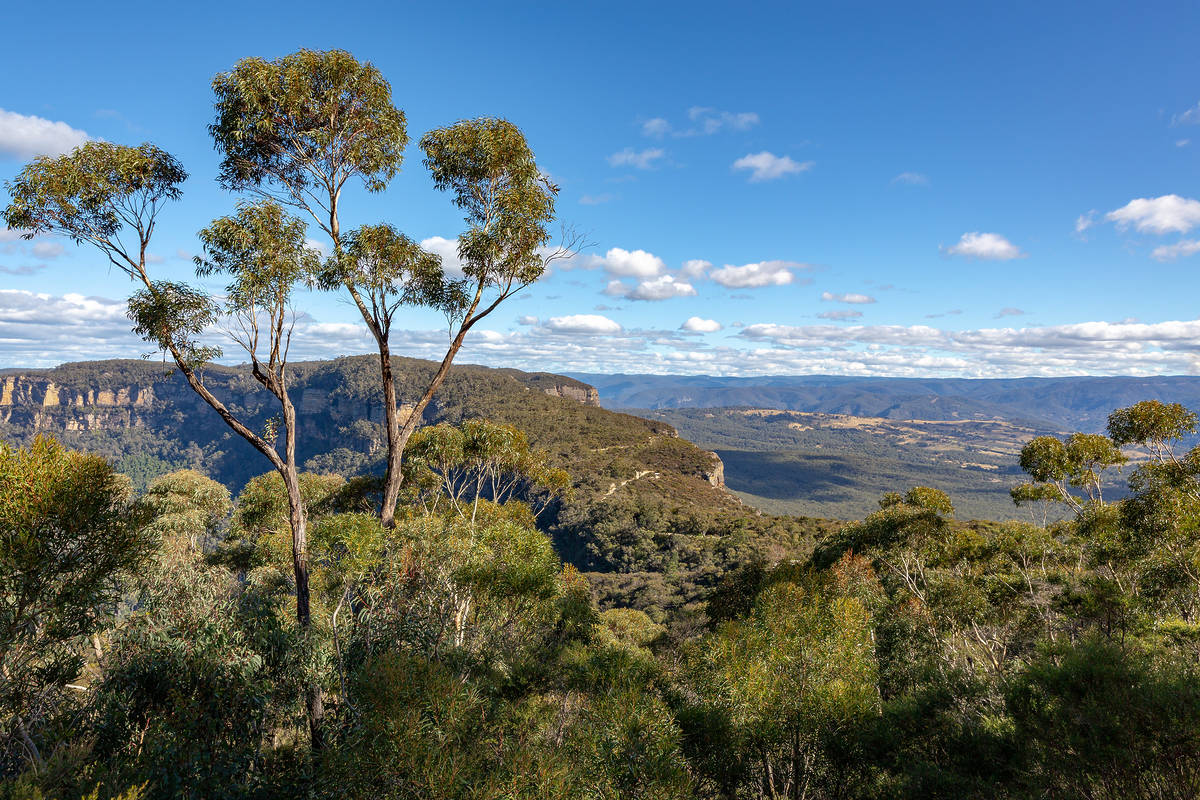 10 Incredible Lookouts In The Blue Mountains