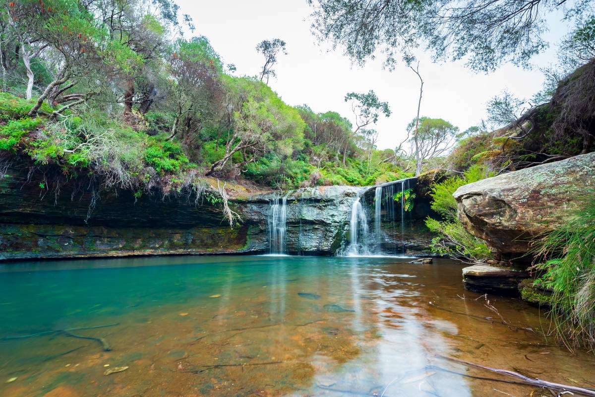 Nellies Glen The Serene Waterfall And Swimming Hole In NSW Secret Sydney