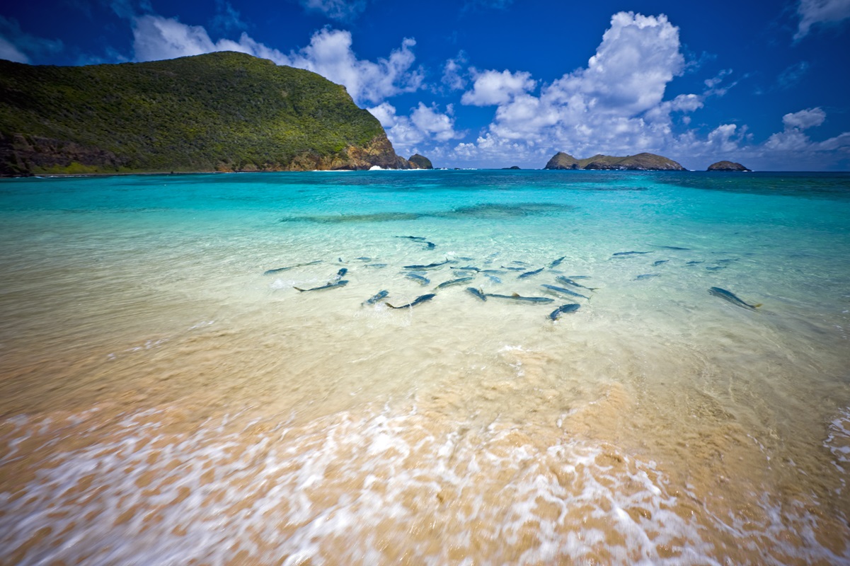 Lord Howe Island Marine Park Is NSW's First World Heritage Site