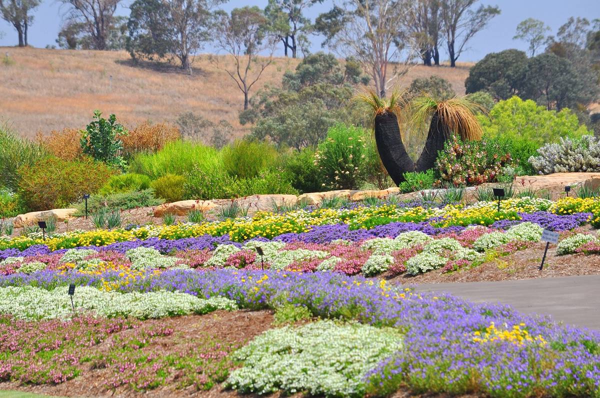 Mount Annan Botanical Gardens