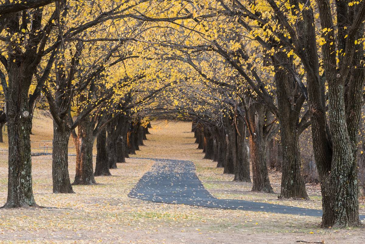 This Is The Most Affordable Town In NSW To Retire In Secret Sydney