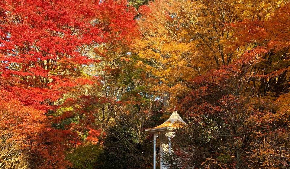 This Secret Garden Just 2 Hours From Sydney Is The Place To Visit For Stunning Autumn Colours