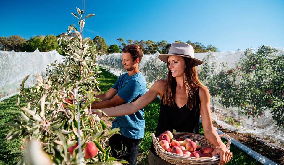 This Small Town Just 90 Minutes From Sydney Offers Apple Picking And Lovely Autumn Colours