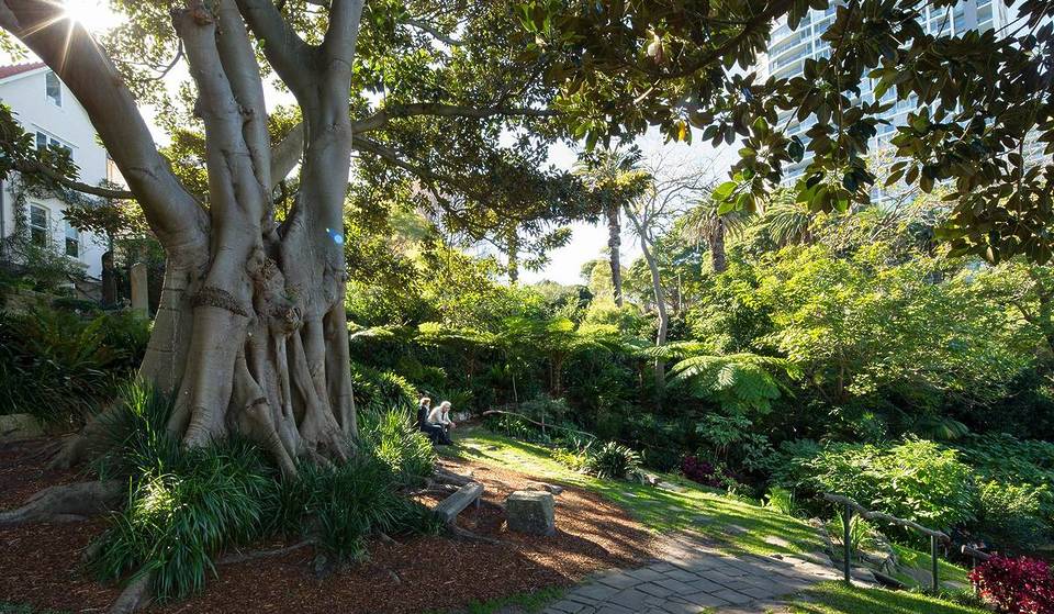 This Quaint Garden In Sydney Has Been Named One Of Australia’s Top Hidden Gems