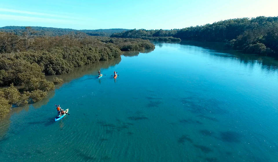 This Town In NSW Lets You Explore An Incredible Marine Park In A Glass Bottom Kayak
