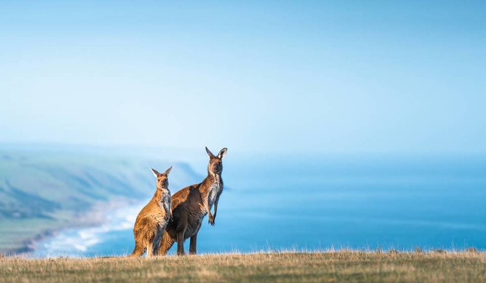 This Is The Happiest City In Australia, According To A New Report
