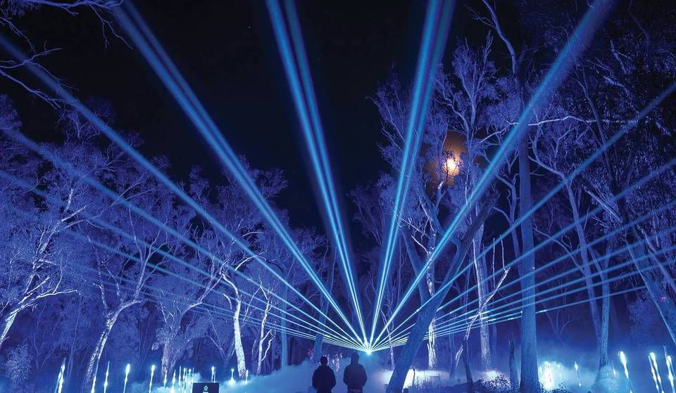 This Stunning Light Show By A Serene Lagoon In NSW Is Worth The Road Trip From Sydney