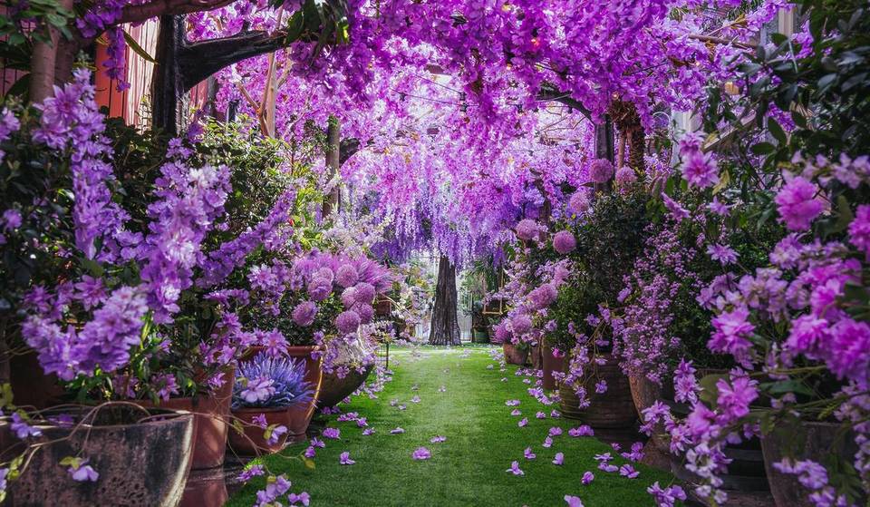 An Enchanting Secret Garden Has Popped Up In Sydney With A Sea Of Purple Blooms