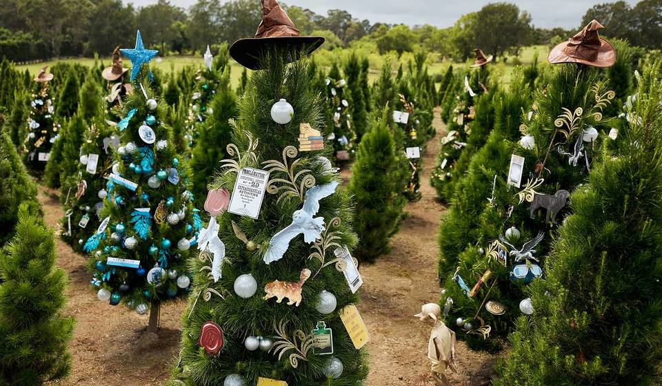 Sydney’s Largest Christmas Tree Farm Has Transformed Into A Harry Potter Wonderland
