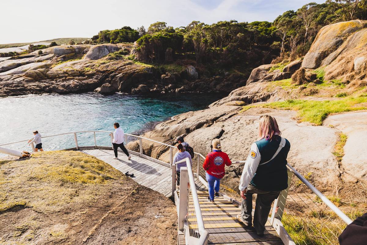 A group of people climbing down the steps to Montague Island, surrounded by blue waters and coastal scenery