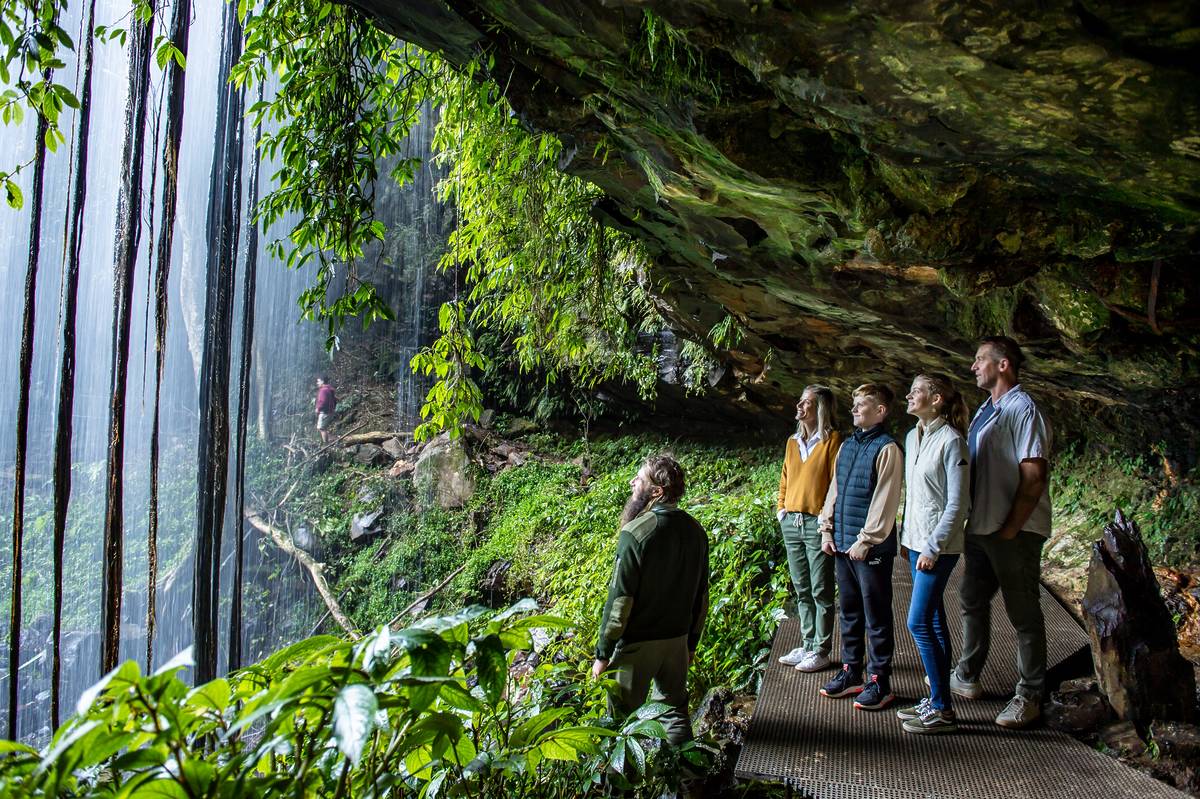 The Most Enchanting Waterfalls In Dorrigo National Park