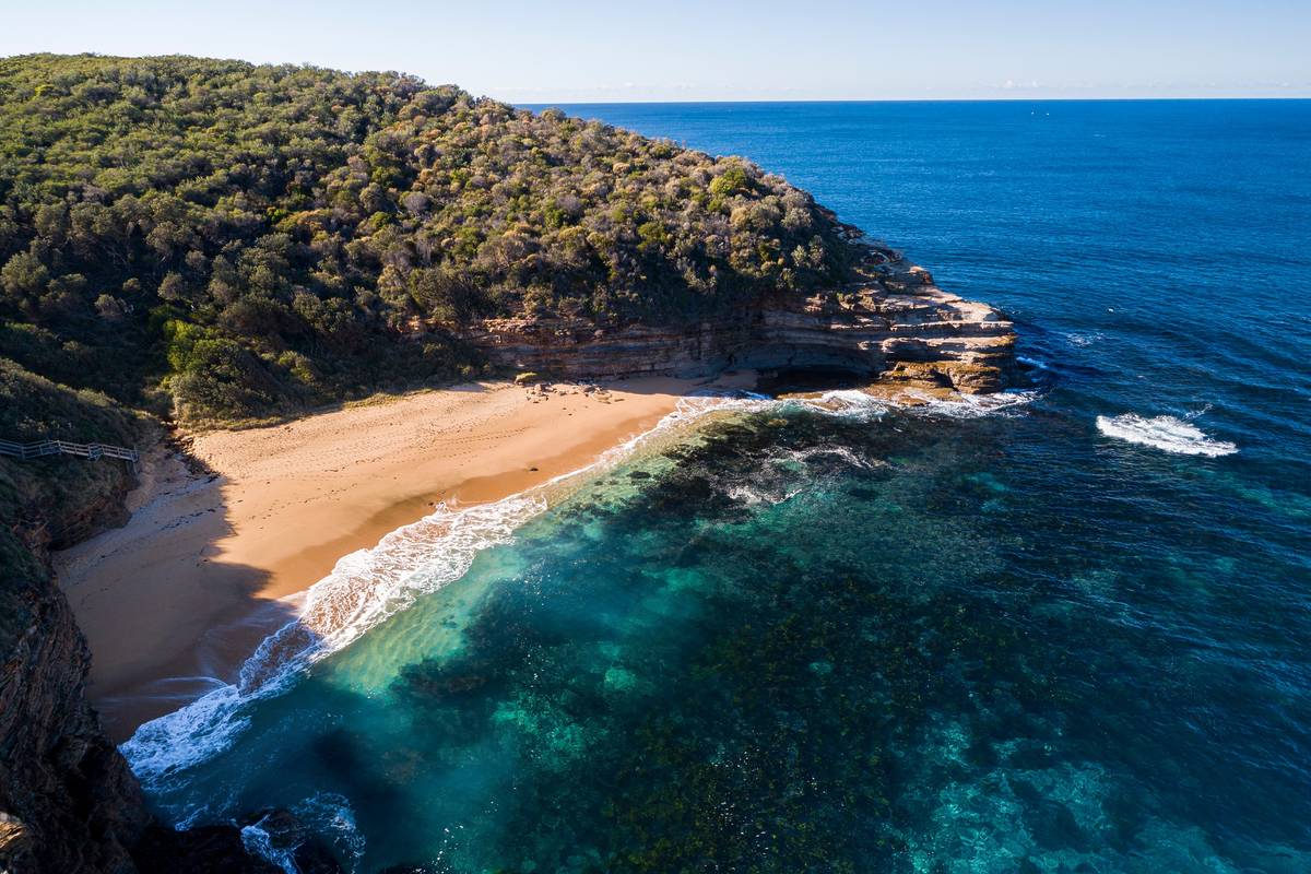 Why The Bouddi Coastal Walk Is One Of NSW s Most Stunning Hikes why-the-bouddi-coastal-walk-is-one-of-nsw-s-most-stunning-hikes