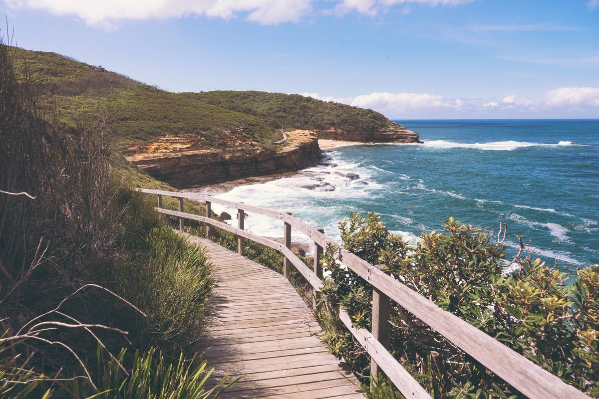 why-the-bouddi-coastal-walk-is-one-of-nsw-s-most-stunning-hikes