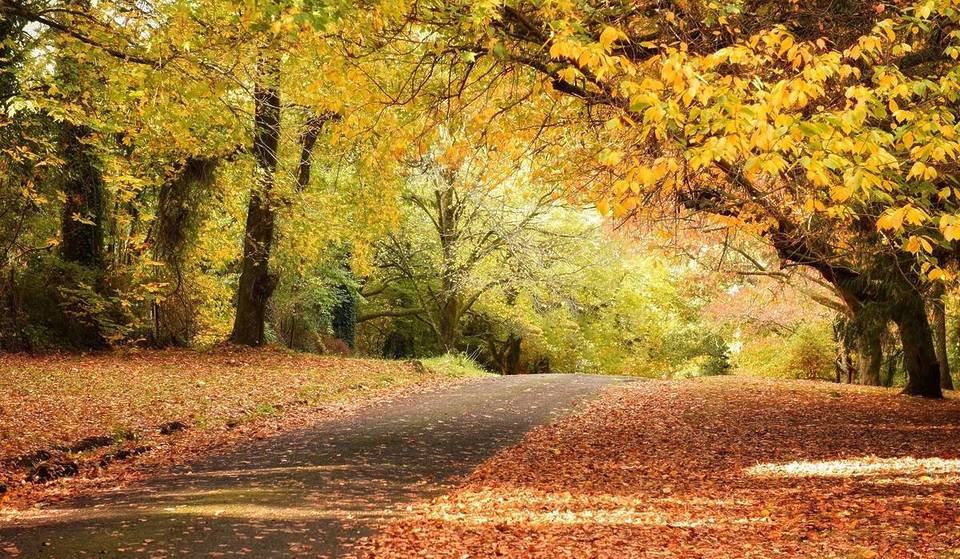This Mountain Town Just 2 Hours From Sydney Is Made For Autumn Getaways – With Serene Walks And Stunning Gardens