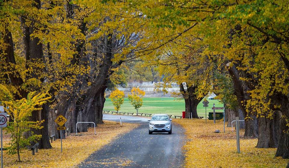 7 Autumn Road Trips In NSW For Scenic Views, Coffee Shops And Vibrant Foliage