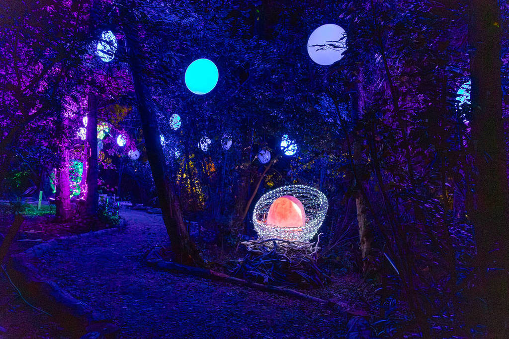 A path through the forrest is surrounded by hanging, glowing lanterns. To the right of the path there is a glowing orange egg inside a nest made of white lights.
