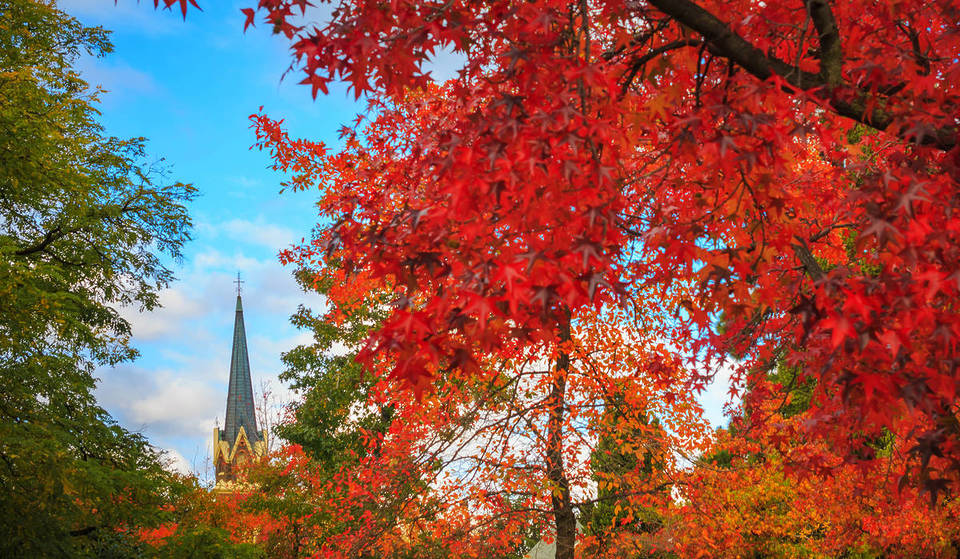 7 Scenic Escapes To Catch The Last Of Autumn In NSW