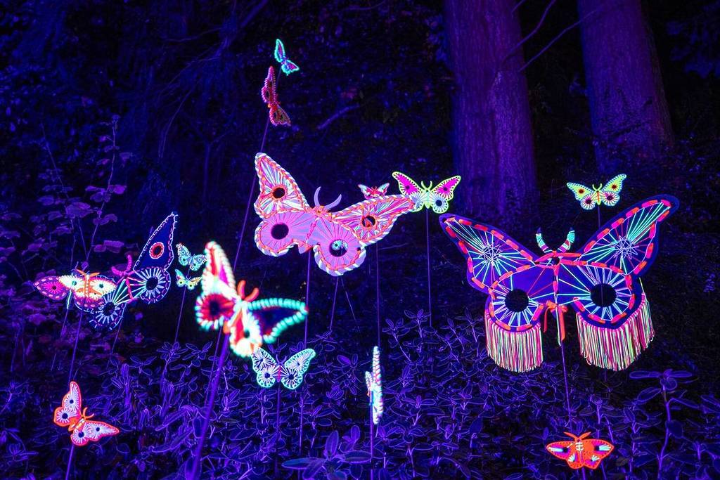 A cluster of coloured butterflies at LUMA Enchanted.