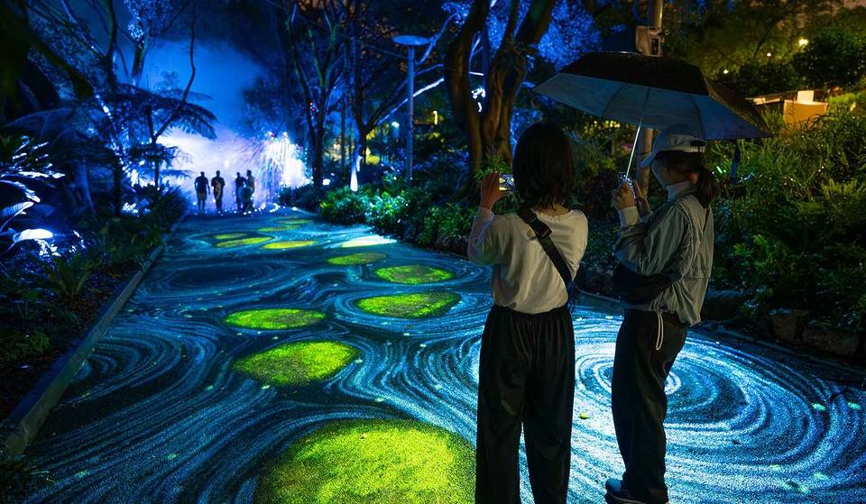 Wander Through An Enchanted Forest At This Dazzling Light Show Just 2 Hours From Sydney