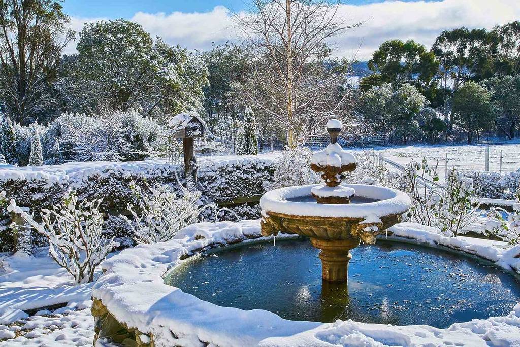 Snow-covered landscape in a park in Oberon, NSW, with trees and a small fountain dusted in white