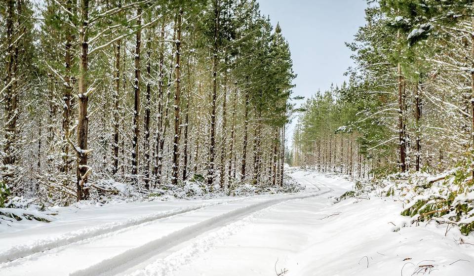 Snow is forecast across parts of NSW this week – here’s where to see it