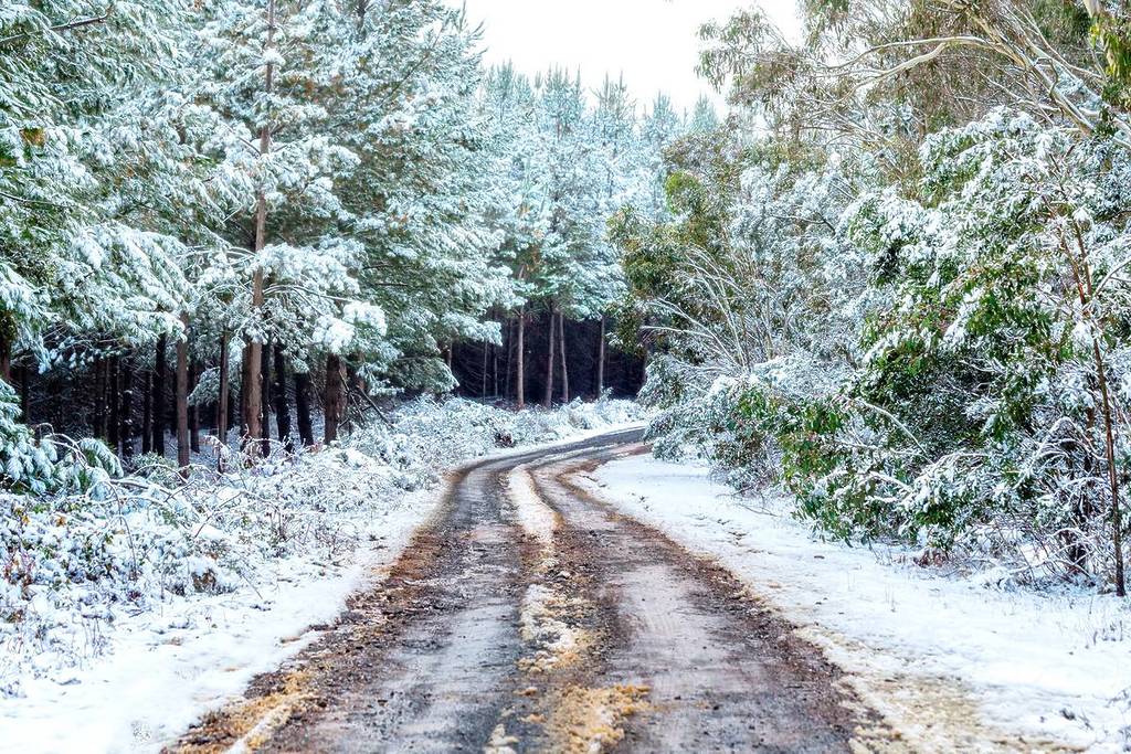 This Small Town In NSW Is Trending For Winter Travel – With Snow-Dusted Views And Cosy Fireside Cafes