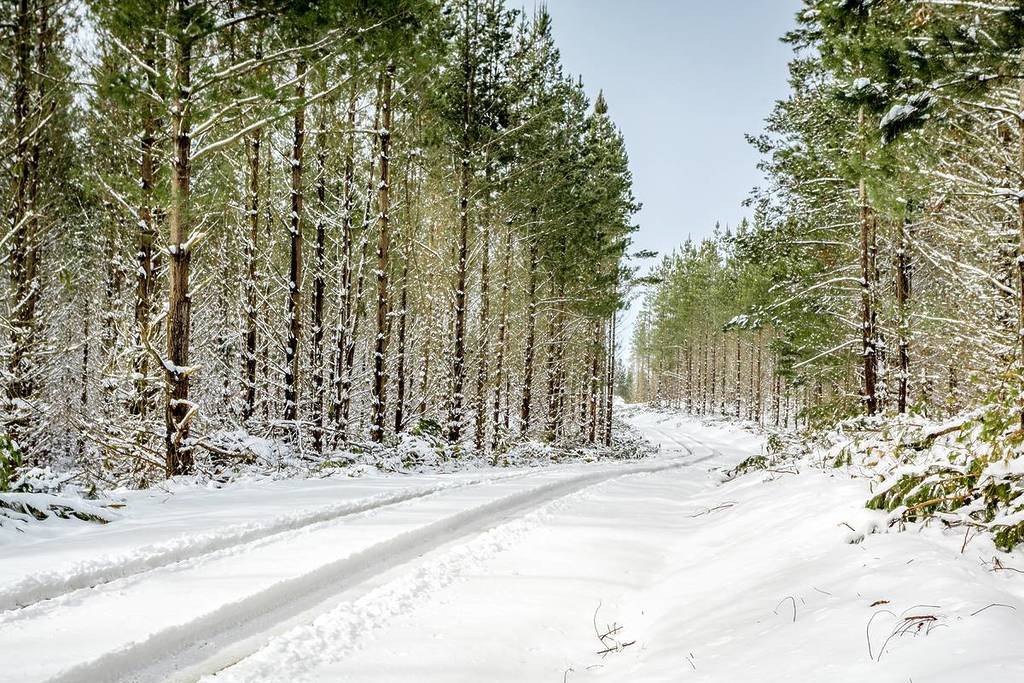6 Small Towns In NSW That Are Charming – And Cheaper – In Winter