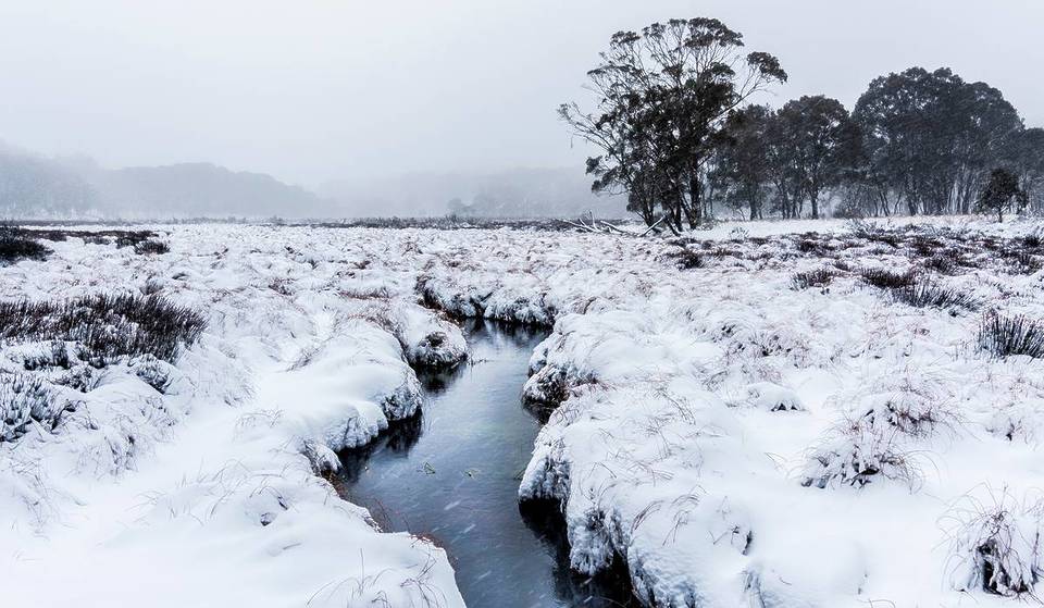 This Underrated National Park In NSW Is Magical In Winter – With Snow-Covered Views And Pristine Walks