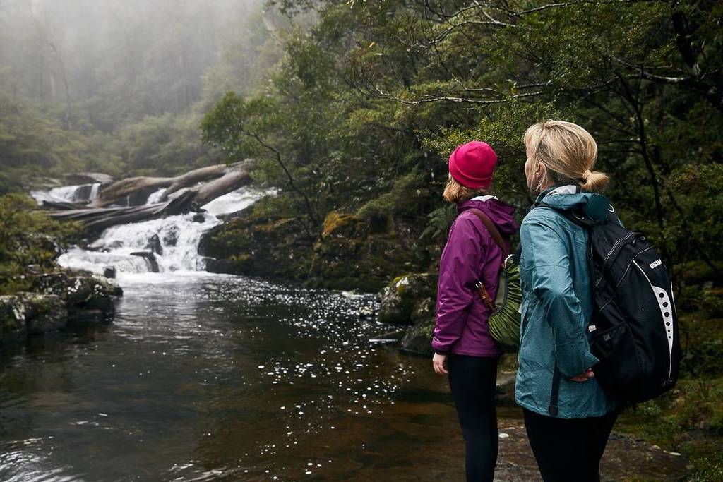 Hikers pausing beside a misty waterfall in a rainforest in NSW