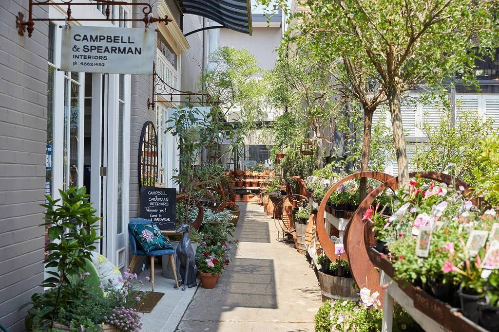 A charming street in Bowral with a mix of boutique shops, greenery, and vibrant plants