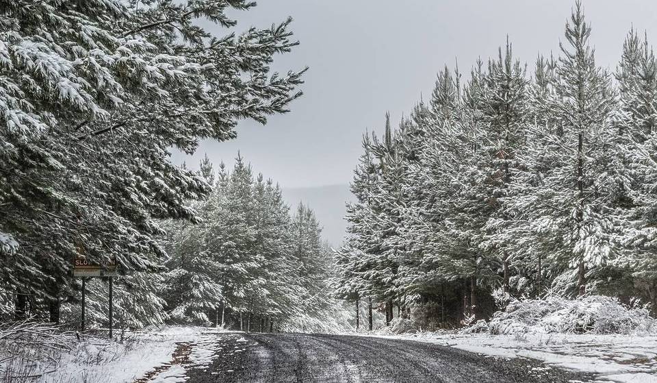 This Stunning Winter Drive In NSW Is Just 2.5 Hours From Sydney – And It’s Blanketed In Snow