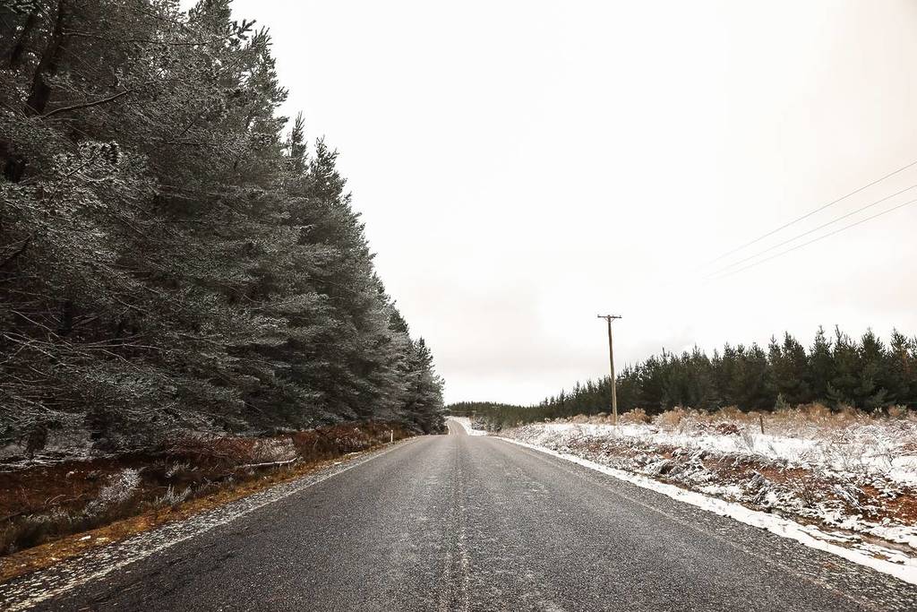 Snow-dusted road lined with pine trees in Shooters Hill, NSW, during winter