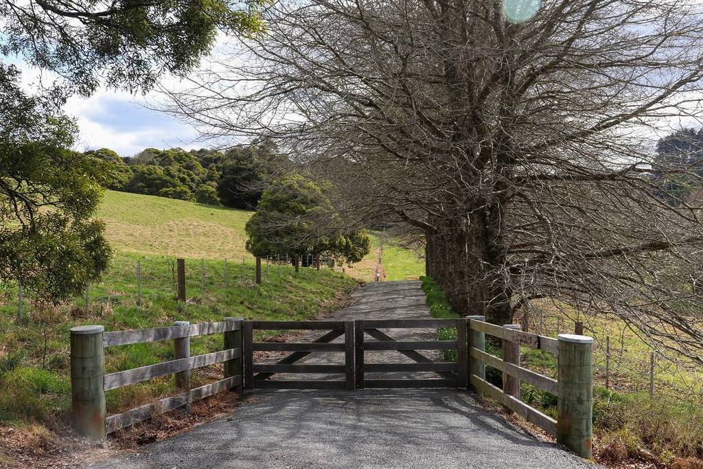 A narrow country road leading through rolling farmland, flanked by leafless winter trees and a wooden gate in Robertson, NSW