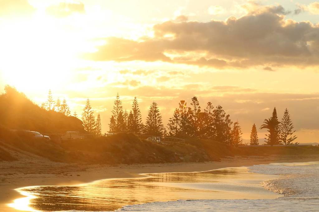 Golden sunset over Town Beach in Port Macquarie, with waves lapping the shore and pine trees silhouetted against the sky