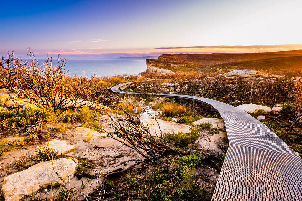 Curved metal boardwalk on the Wattamolla to Eagle Rock trail leading through low scrub toward coastal cliffs in the Royal National Park, with warm sunset light and ocean views in the distance