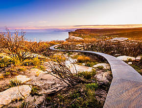 This 9km Trail In NSW Is A Winter Favourite – With Incredible Whale Watching And Coastal Views