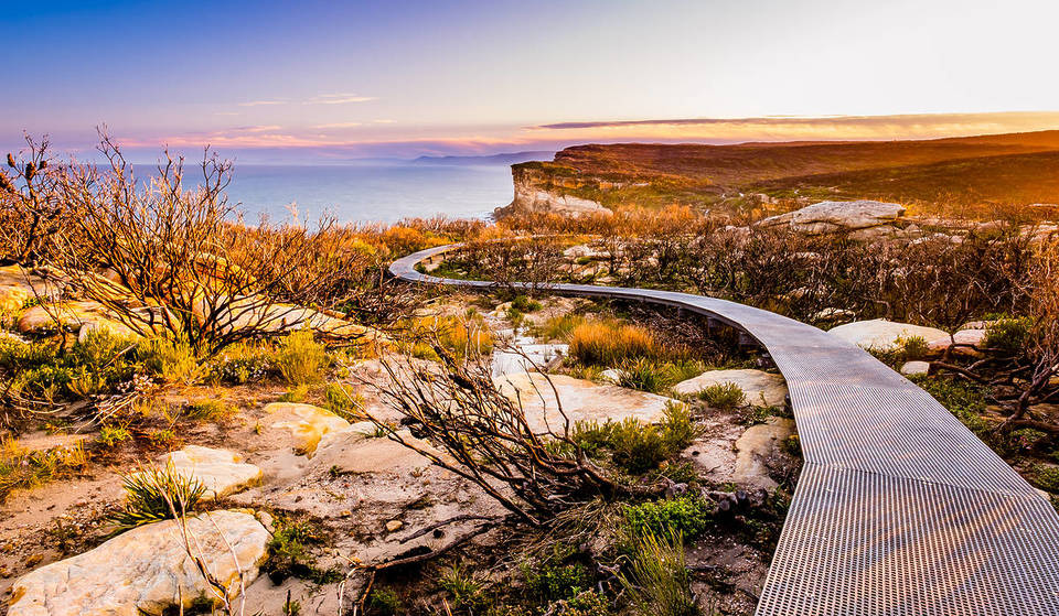This 9km Trail In NSW Is A Winter Favourite – With Incredible Whale Watching And Coastal Views