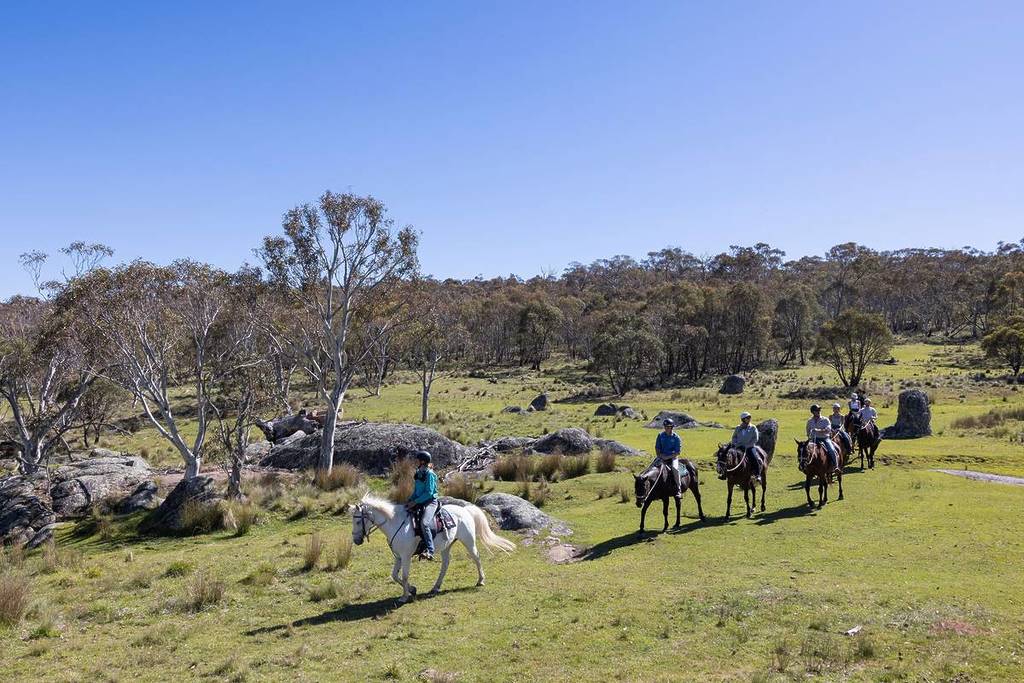 A group of horseback riders walking through a grassy field in Jindabyne, NSW, with eucalyptus trees and large boulders in the background