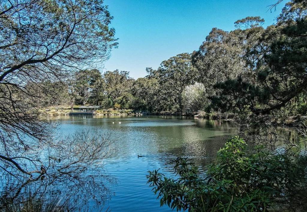 Clear blue skies over Lake Alexandra in Mittagong, with calm water surrounded by tall trees, leafy greenery, and a small jetty visible in the distance