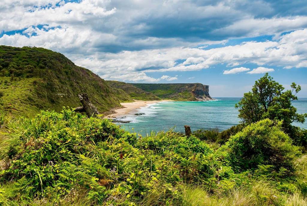 Scenic coastal walking trail overlooking dramatic ocean cliffs in Royal National Park near Sydney