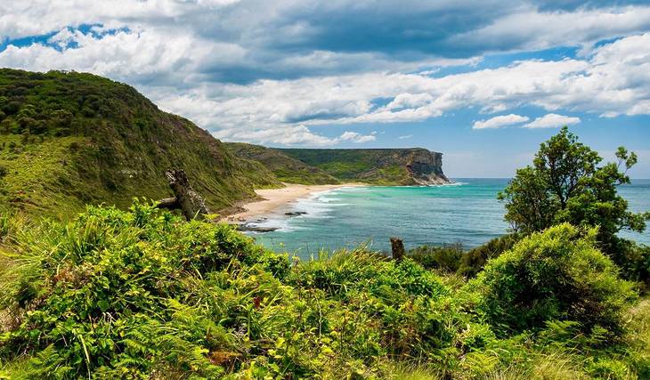 This 7km Trail In NSW Is Perfect In Winter – With Panoramic Ocean Views And Epic Whale Watching