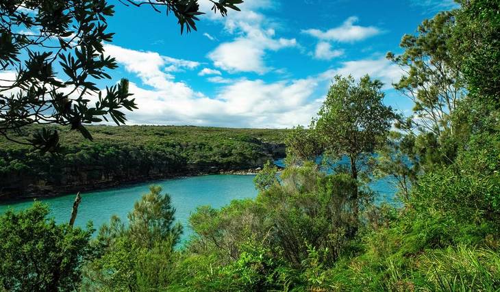 This 7km Coastal Trail In NSW Is A Local Favourite – With Ocean Views And Incredible Whale Watching