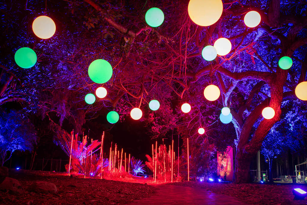 Colourful glowing orbs hang from trees above a light-filled trail at the Echoes immersive event in Sydney's Bella Vista Farm
