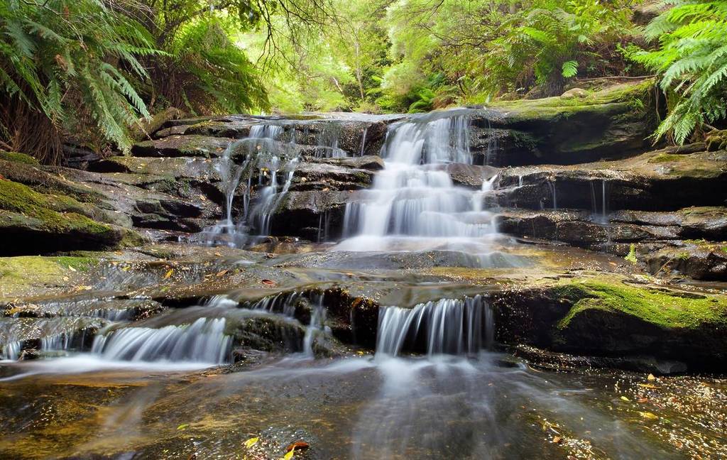 Leura Cascades flowing over moss-covered rocks surrounded by lush ferns and greenery in the Blue Mountains