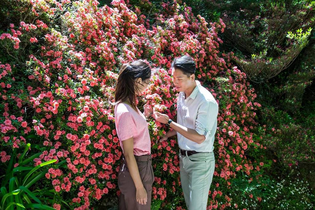 Couple enjoying the spring blossoms at a garden in Leura, surrounded by vibrant pink flowers