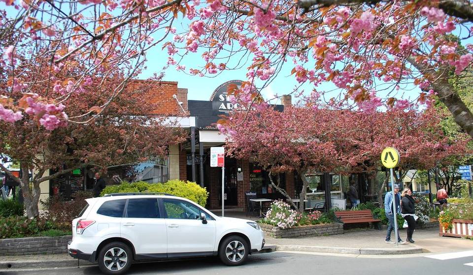 This Small Town Just 1.5 Hours From Sydney Is Perfect In Spring – With Cherry Blossom-Lined Streets, Cafes And Waterfalls