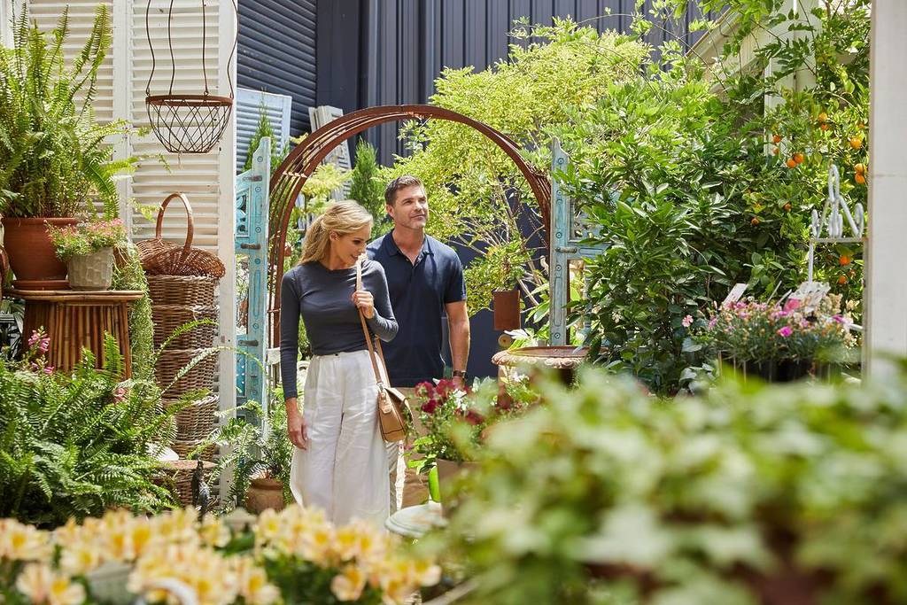 A couple strolls through a lush, plant-filled courtyard in Bowral, surrounded by vibrant greenery and flowers during spring