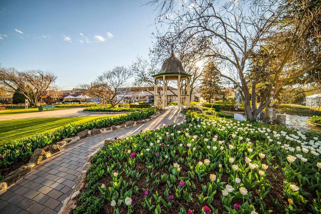 A garden in the Southern Highlands filled with blooming tulips near a gazebo in a scenic park during the spring season